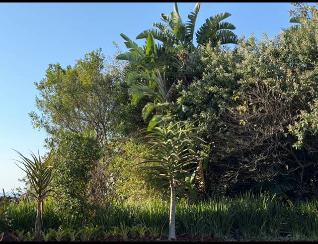 848M² VACANT LAND FOR SALE IN SHEFFIELD BEACH